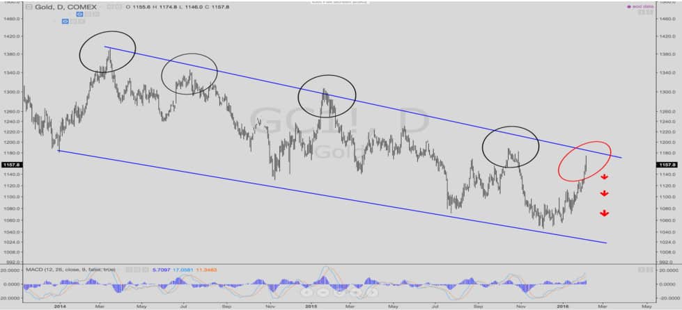 gold retraces within downtrend