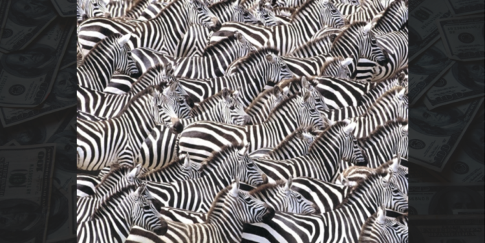 ARE YOU AN INSIDE OR OUTSIDE ZEBRA