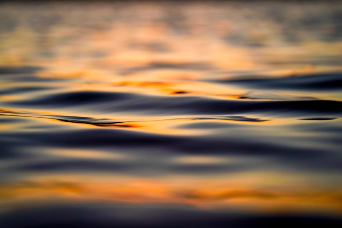 jason-leung-gtanOtRUSlc-unsplash